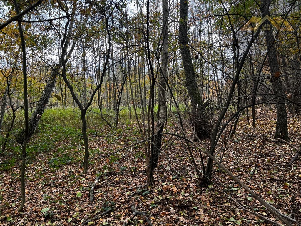 Działka budowlana na sprzedaż Biadoliny Radłowskie  6 800m2 Foto 8