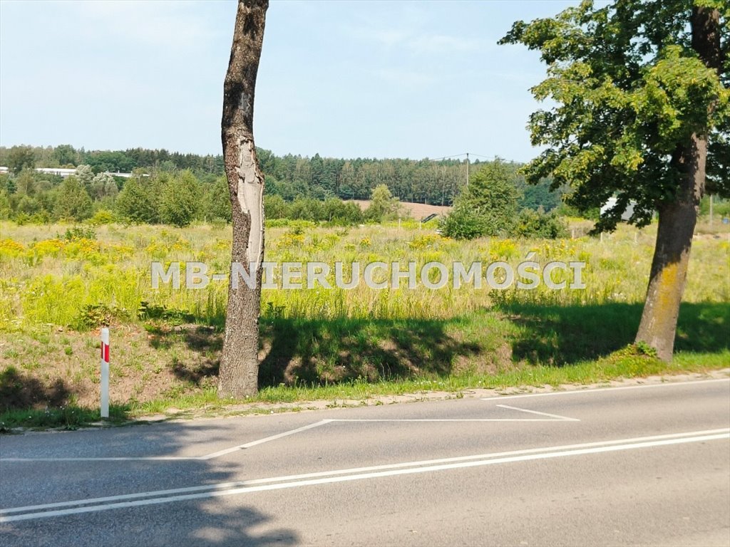 Działka inwestycyjna na sprzedaż Barczewo, Barczewo  39 554m2 Foto 5