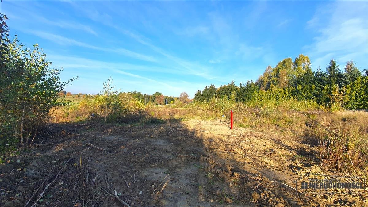 Działka budowlana na sprzedaż Szczecinek, Raciborki, Raciborki, Obrońców Westerplatte  1 102m2 Foto 5