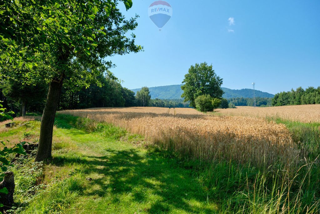 Działka rolna na sprzedaż Czaniec  4 082m2 Foto 17