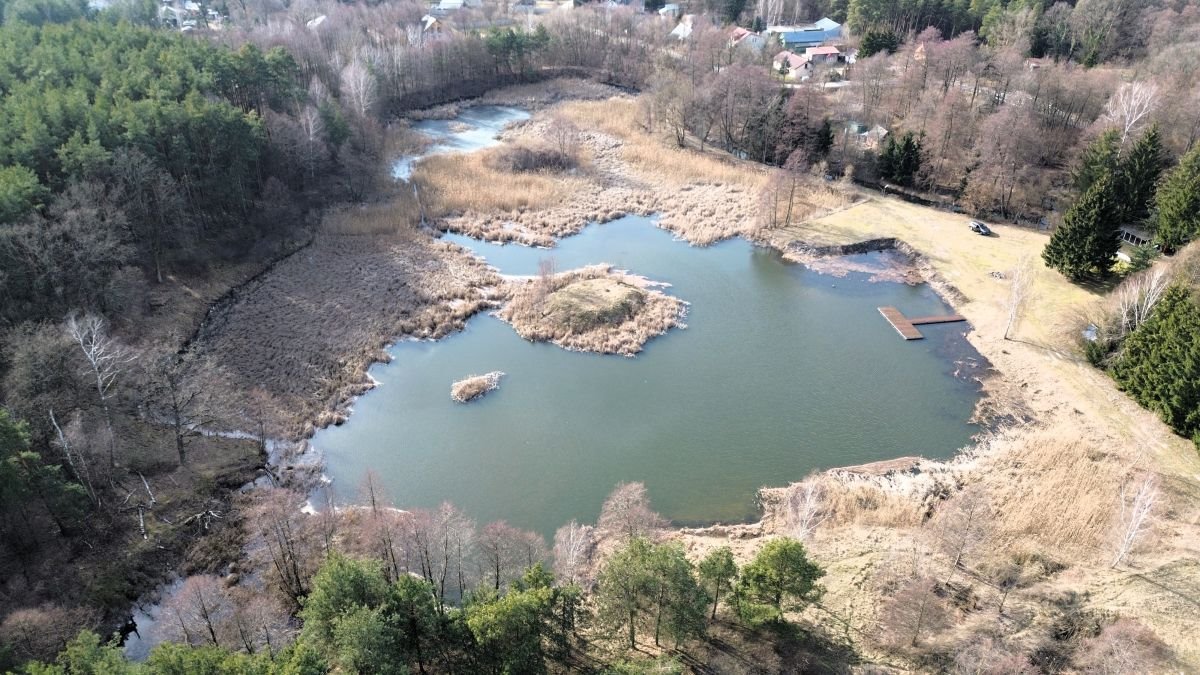 Lokal użytkowy na sprzedaż Tartak  52 600m2 Foto 33