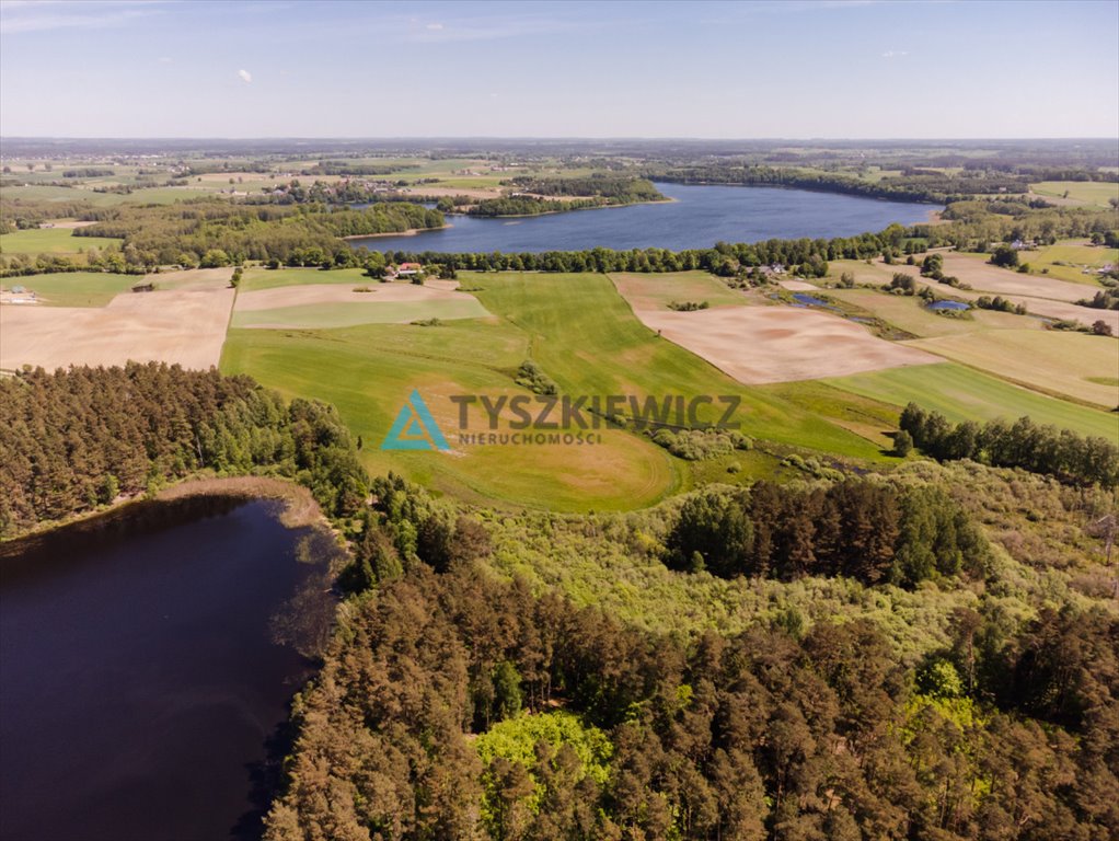 Działka rekreacyjna na sprzedaż Sarnowy  4 500m2 Foto 11