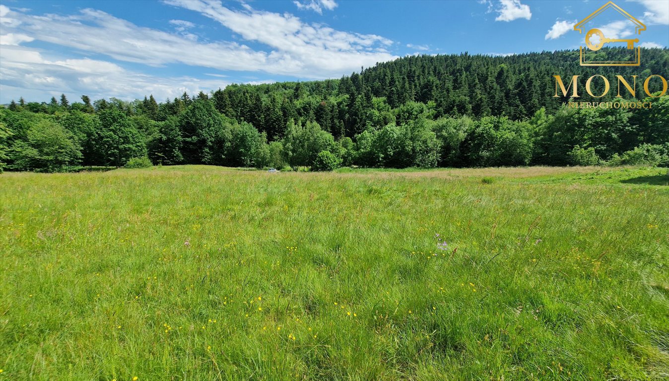 Działka budowlana na sprzedaż Wojakowa  2 000m2 Foto 8