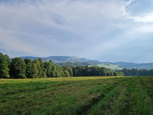 Działka budowlana na sprzedaż Podlesie  441m2 Foto 2