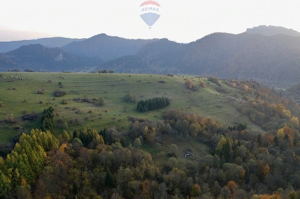 Działka rolna na sprzedaż Szczawnica  2 578m2 Foto 8