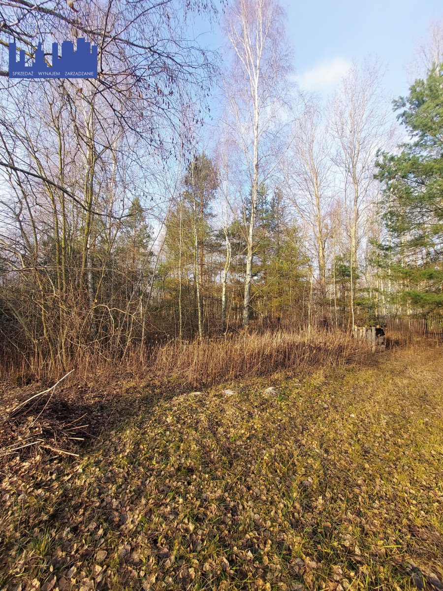 Działka budowlana na sprzedaż Borowina, Zaleśna  1 129m2 Foto 10