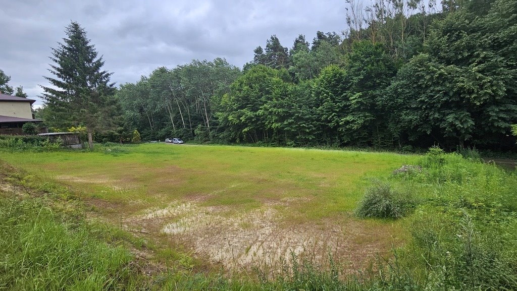 Działka 28 ar z mediami, las, Nałęczów, WZ, pod dom Nałęczów, Powstańców 1863 r.  2 831m2 Foto 1