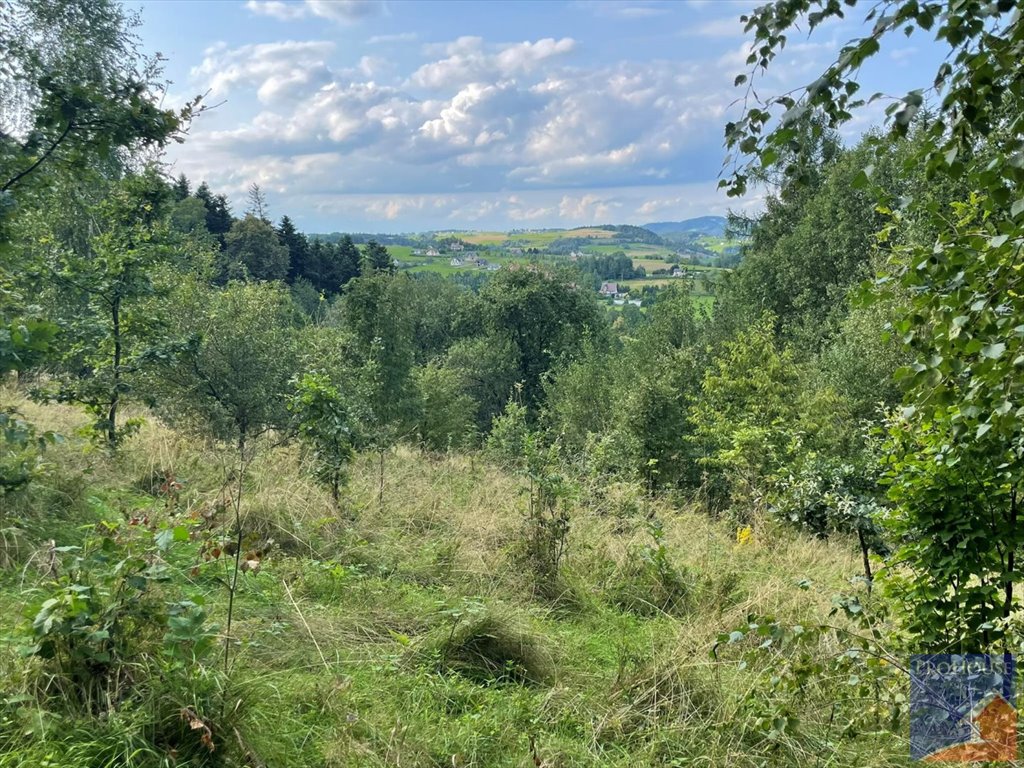 Działka rolna na sprzedaż Przyszowa  4 958m2 Foto 20