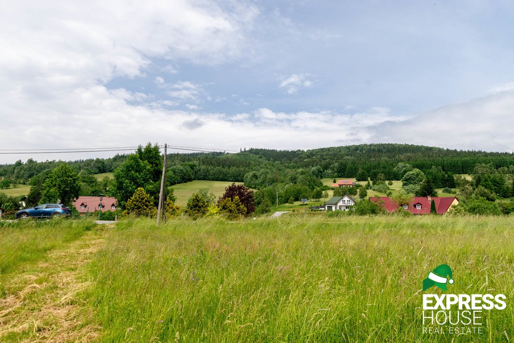 Działka budowlana na sprzedaż Stronie Śląskie  4 069m2 Foto 14