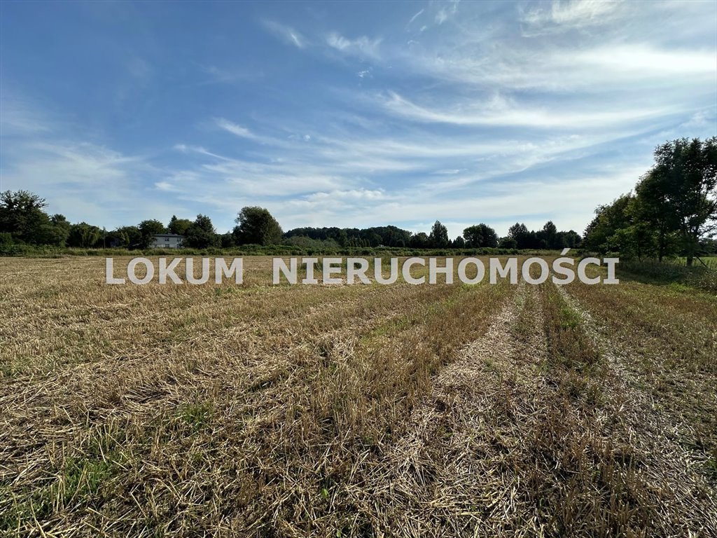 Działka rolna 0,58 ha z dostępem do drogi, lasem i domami Zebrzydowice, Asnyka  5 792m2 Foto 1