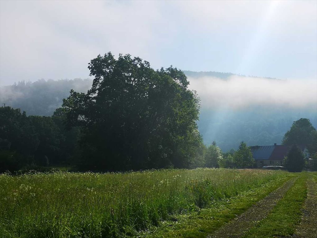 Działka inna na sprzedaż Bystrzyca Kłodzka, Gorzanów  86m2 Foto 2