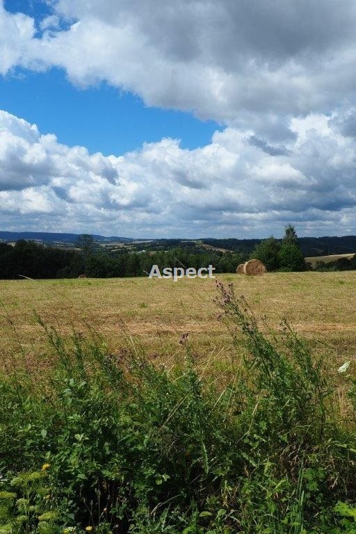 Działka budowlana na sprzedaż Wielopole Skrzyńskie  15 739m2 Foto 1