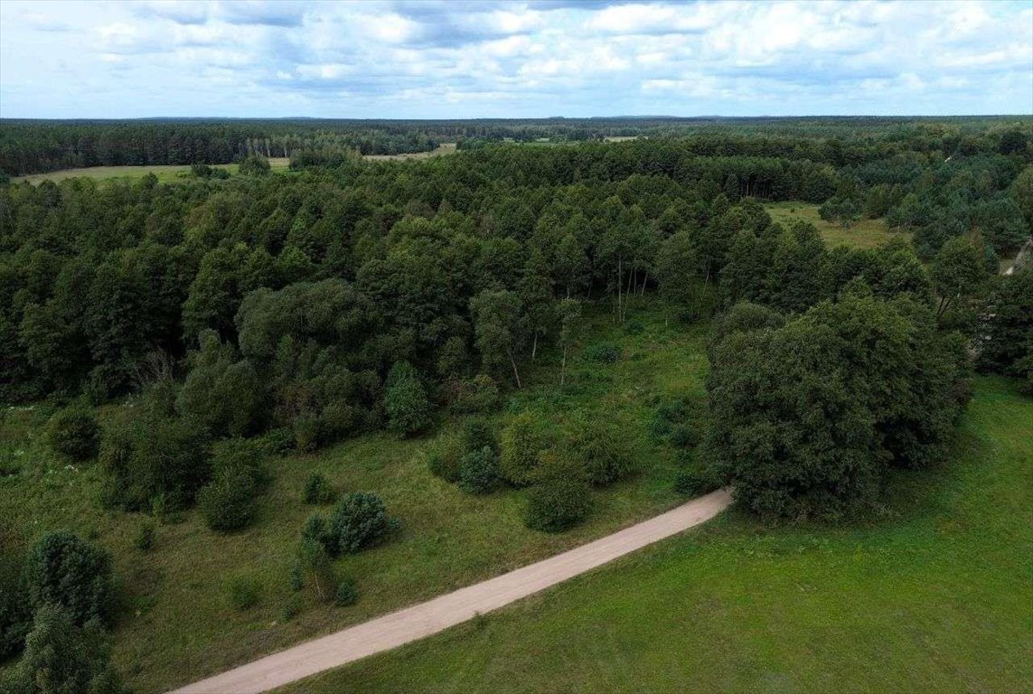 Działka rolna na sprzedaż Rekownica  3 002m2 Foto 8