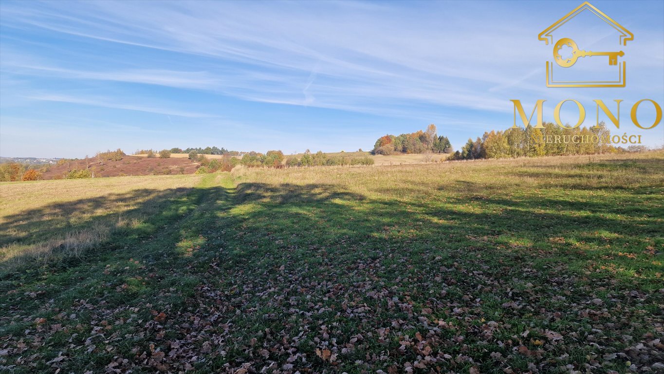 Działka rolna na sprzedaż Korczyna  15 400m2 Foto 5