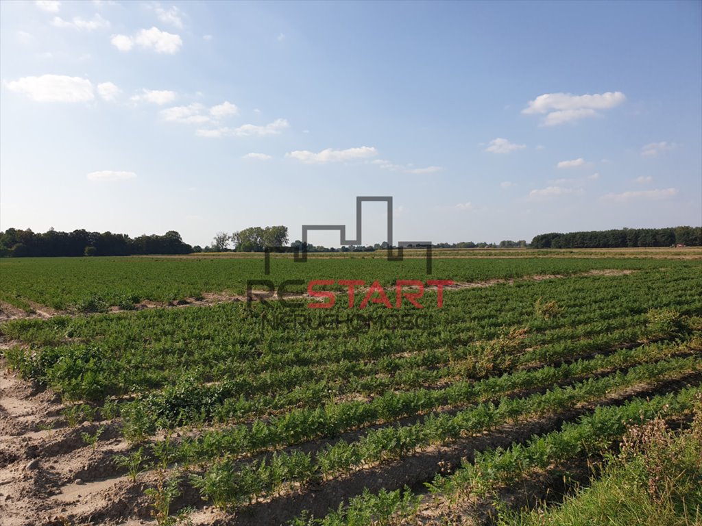 Działka rolna na sprzedaż Żuków  32 900m2 Foto 6