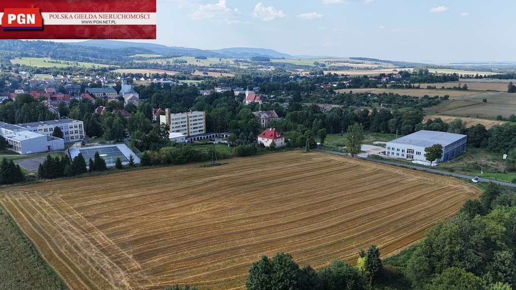 Działka 26 279 m² pod biznes w Międzylesiu (możliwość podziału) Międzylesie  26 279m2 Foto 1