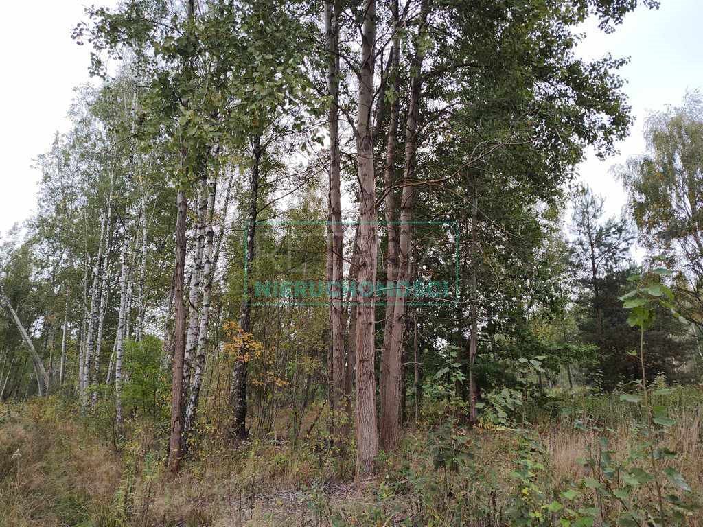 Działka 1500 m² w Czarnego Lasu z mediami i planem Czarny Las  1 500m2 Foto 1