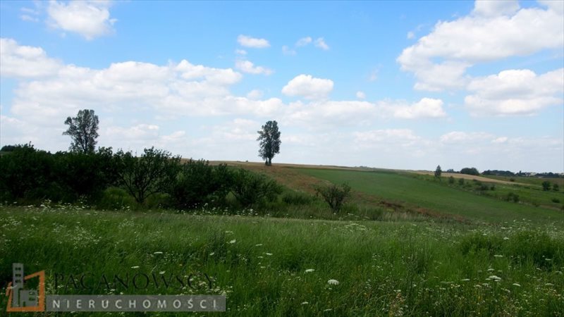 Działka rolna na sprzedaż Brzozówka Korzkiewska  7 500m2 Foto 1