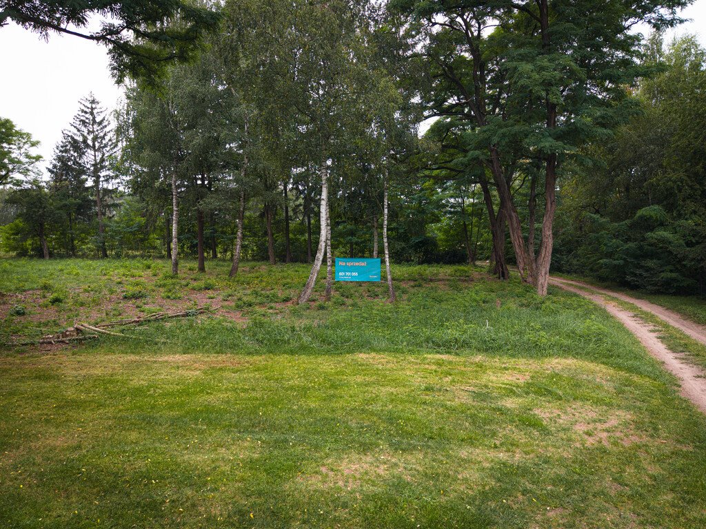 Zdjęcie 7