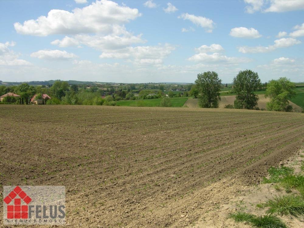 Działka inna na sprzedaż Opatkowice  5 000m2 Foto 7