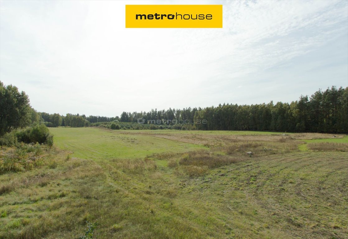 Na sprzedaż działka 1879 m² z lasem w Grochowiskach Grochowiska  1 879m2 Foto 1