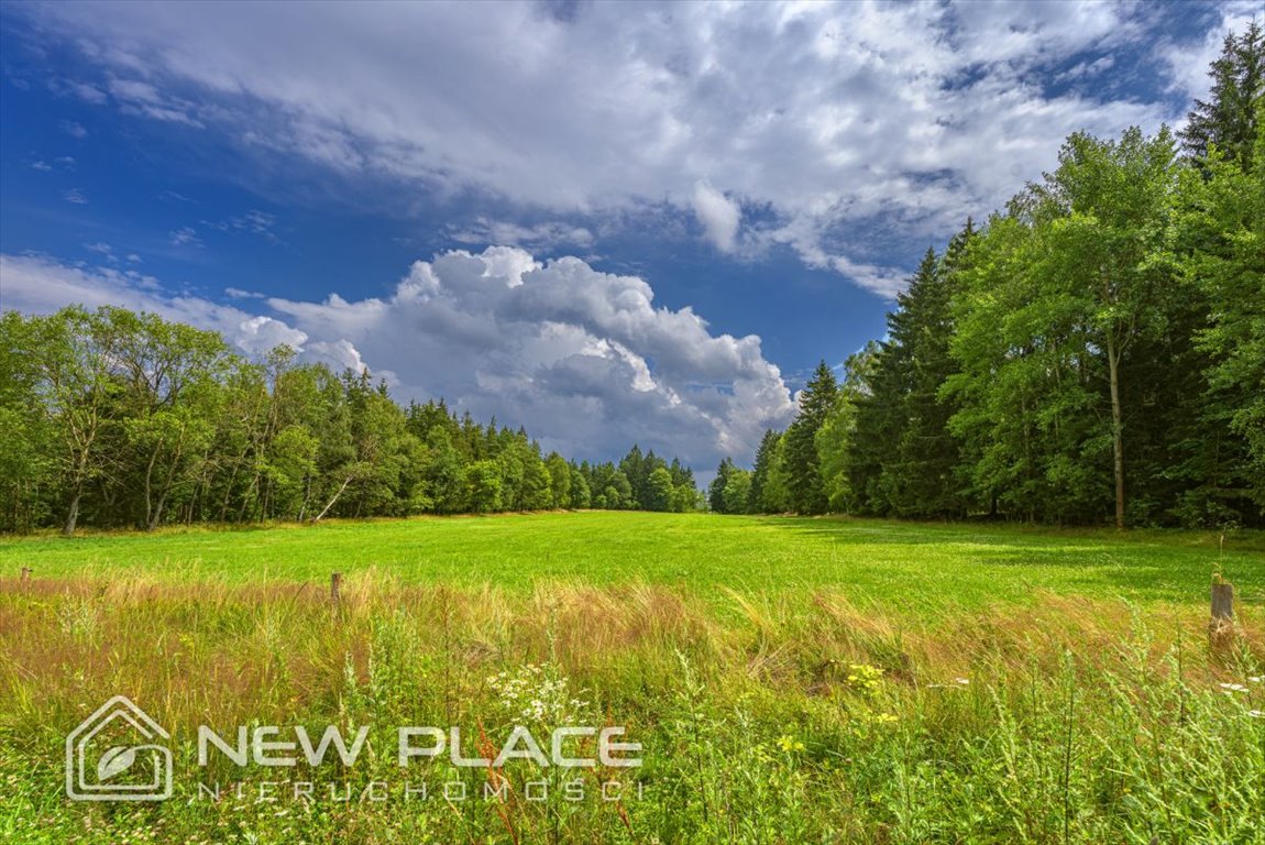 Działka przemysłowo-handlowa na sprzedaż Szczytna  1 004m2 Foto 11