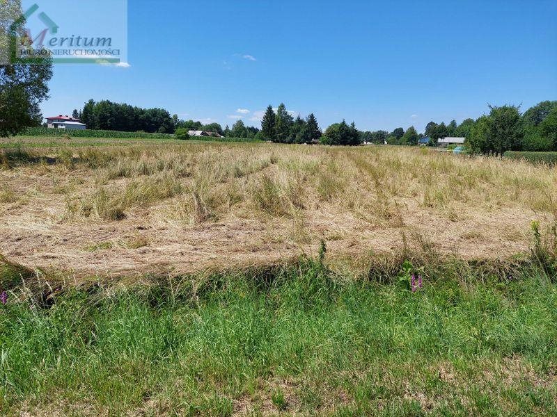 Działka rolno-budowlana 0,42 ha z dostępem do asfaltu Potok  4 219m2 Foto 1