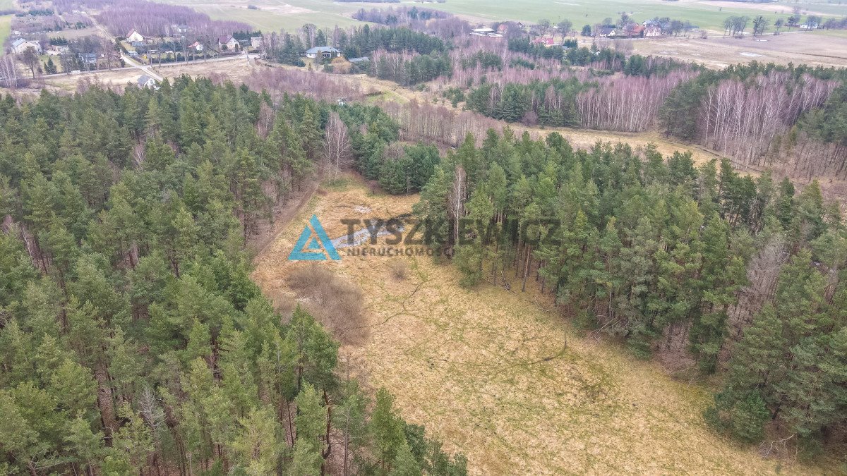 Działka budowlana na sprzedaż Gołębiewo Wielkie, Maciejki  7 500m2 Foto 5