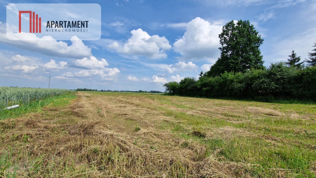 Działka budowlana na sprzedaż Wiewiórczyn  1 000m2 Foto 2