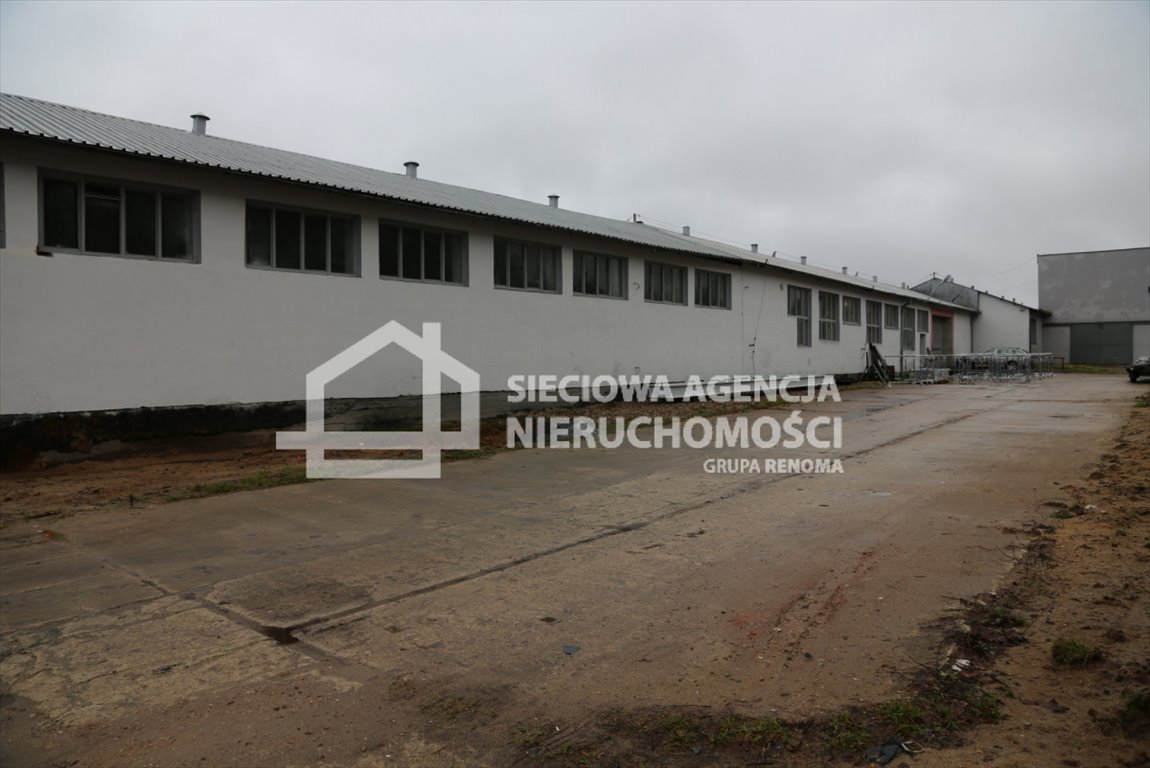 Hala 730 m² z biurami, media, monitoring, utwardzony teren Łebieniec  730m2 Foto 1
