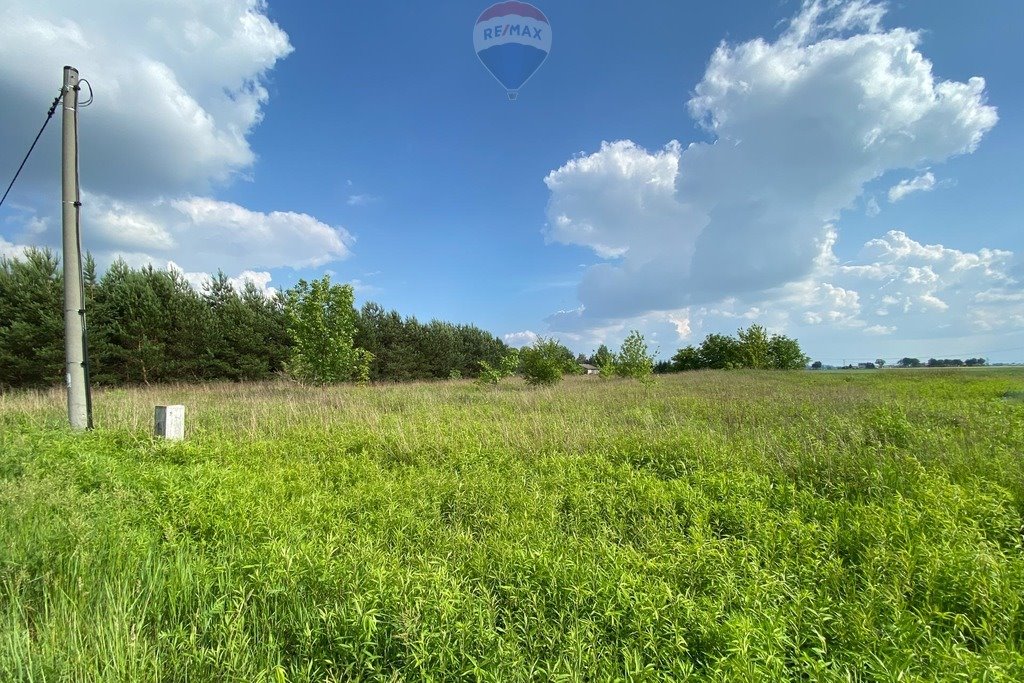 Działka budowlana na sprzedaż Wąsy-Kolonia  1 538m2 Foto 4