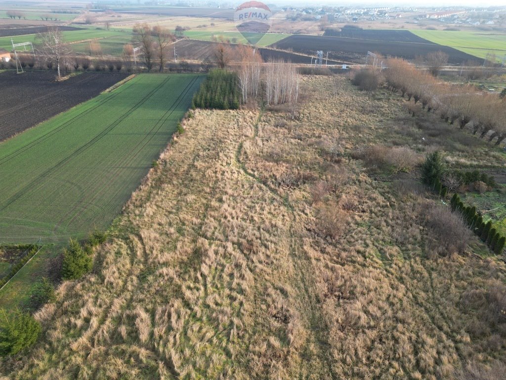 Działka komercyjna na sprzedaż Skowarcz  10 000m2 Foto 2