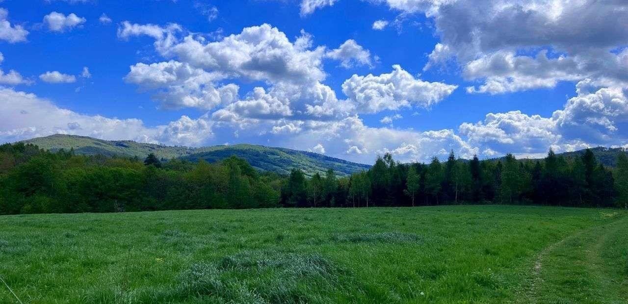 Działka rekreacyjna na sprzedaż Dębna  1 200m2 Foto 6