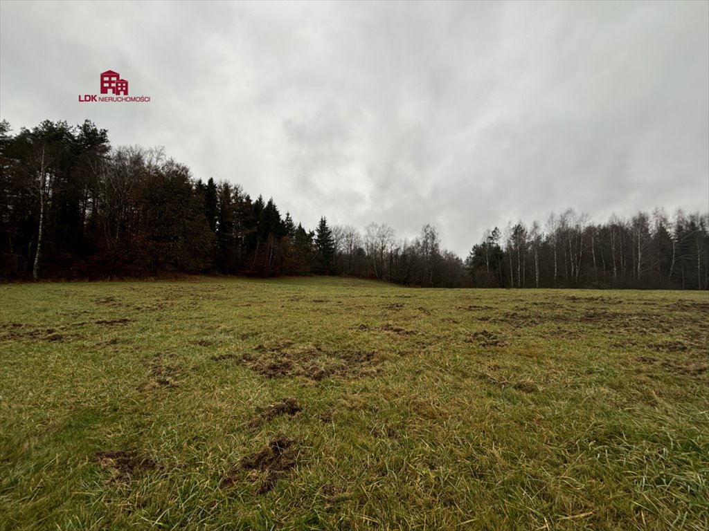 Działka budowlana na sprzedaż Mierzeszyn, Wolności  3 100m2 Foto 7