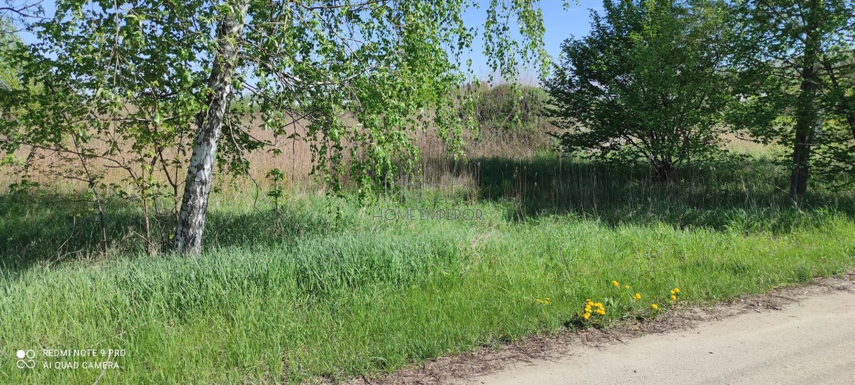Polecam działkę rolną 4000 m² w Piaskach z fundamentami Piaski  4 000m2 Foto 1