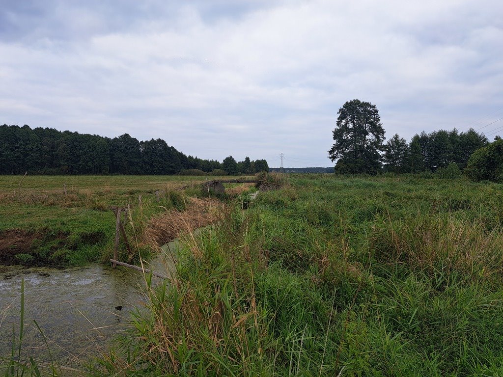 Działka rolna na sprzedaż Olszewka  43 000m2 Foto 12