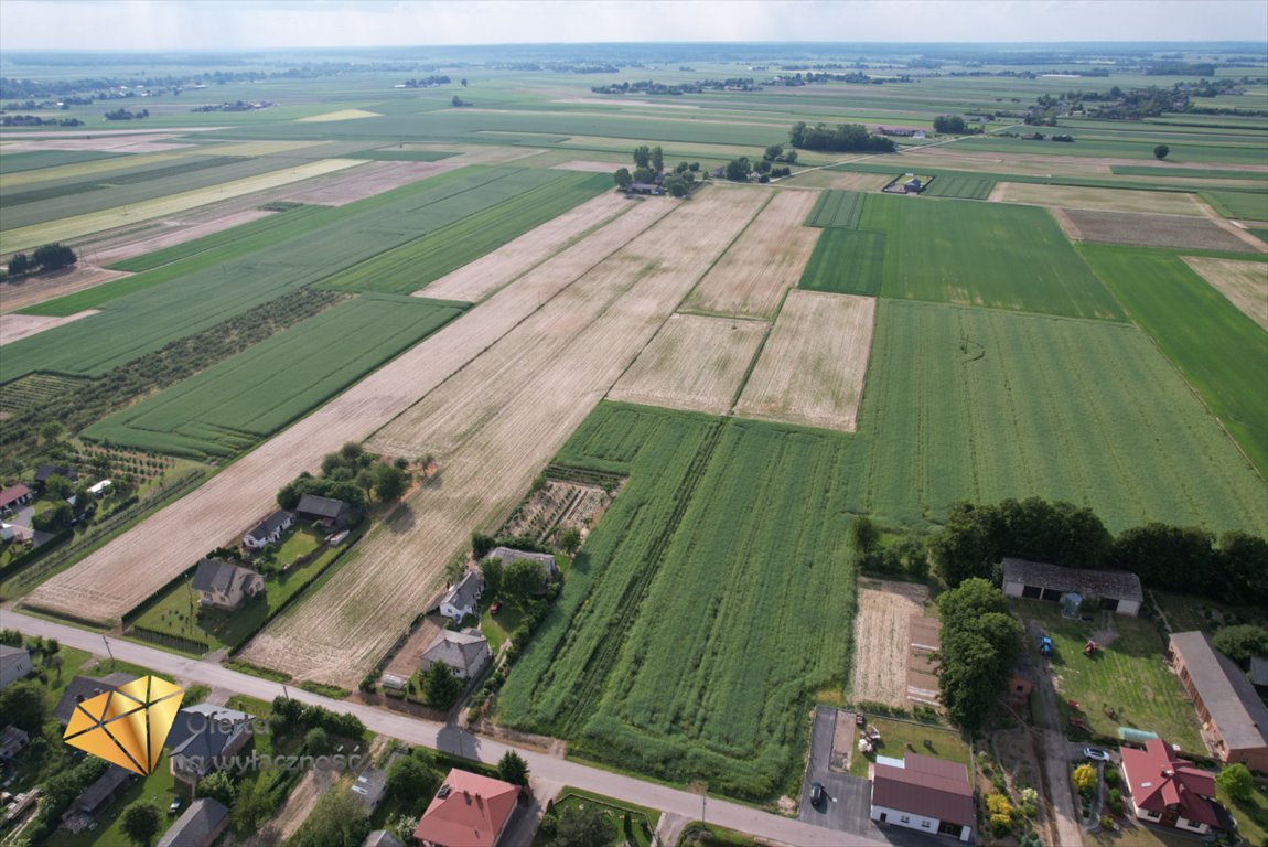 Działka budowlana na sprzedaż Wojciechów  2 000m2 Foto 6