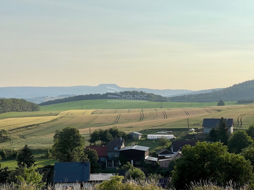 Działka budowlana na sprzedaż Bożków  10 600m2 Foto 3