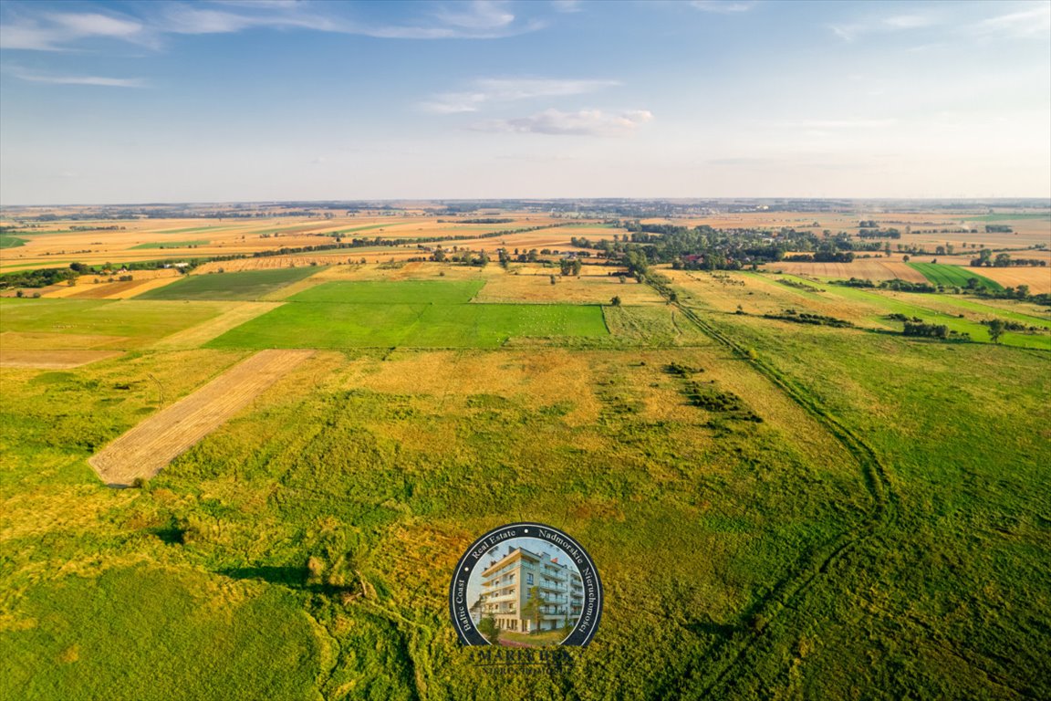 Działka gospodarstwo rolne na sprzedaż Ryszewo  13 500m2 Foto 7