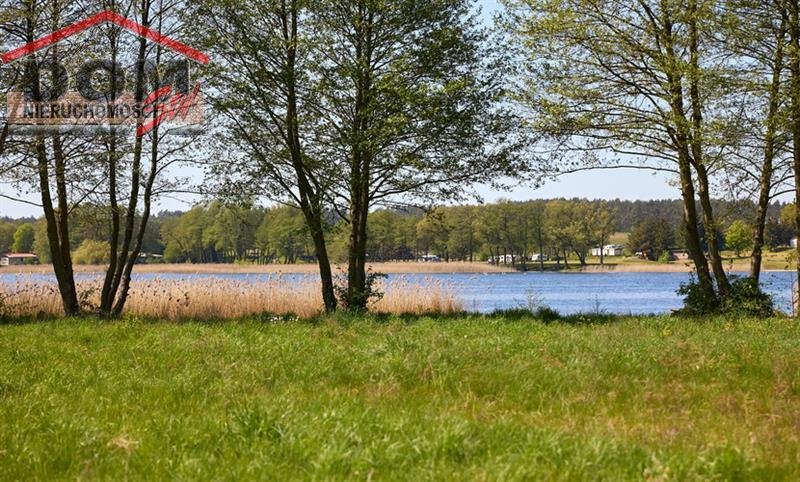 Działka budowlana na sprzedaż Gudowo  8 000m2 Foto 9