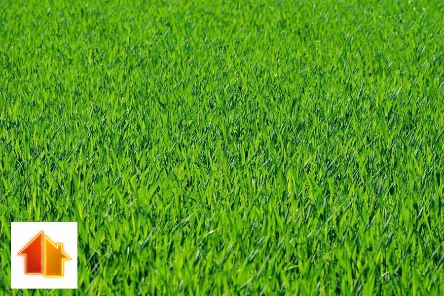 Działka przemysłowa 10 000 m² z mediami i dobrym dojazdem Żory, Jesienna  10 000m2 Foto 1