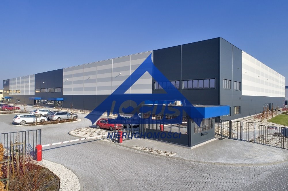 Nowoczesny magazyn 2228 m² z biurem i dokami - wysoki standard: Ożarów Mazowiecki