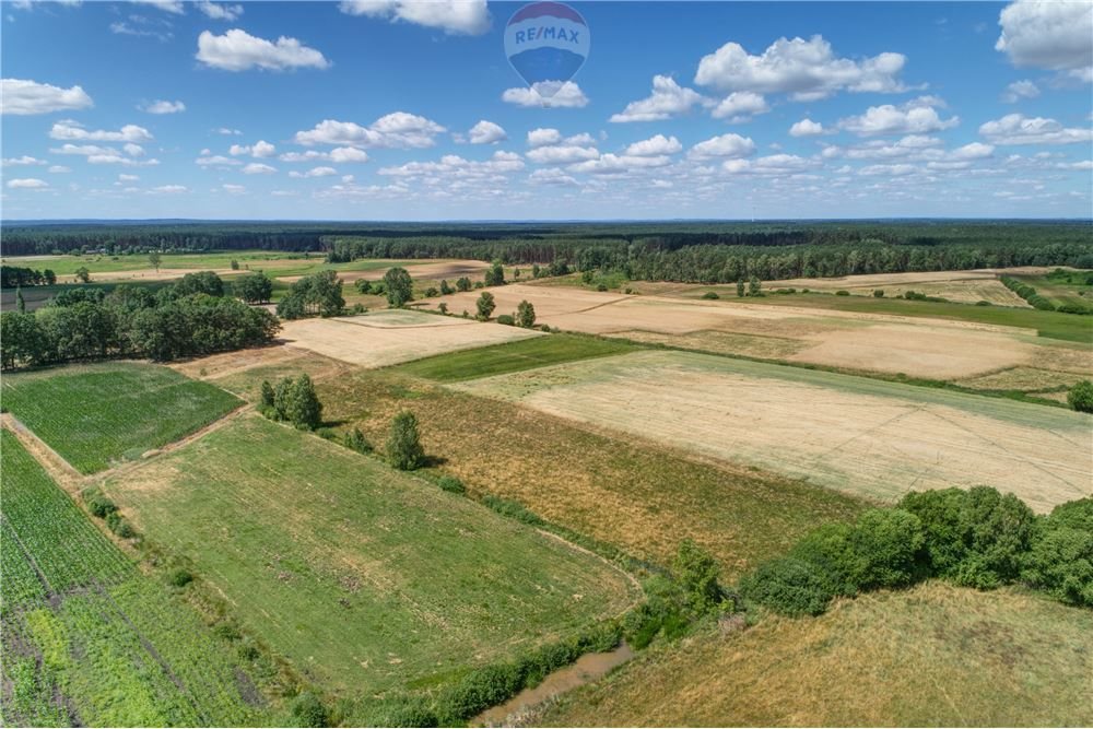 Działka rolna na sprzedaż Hetmanów 144 500m2 Foto 1 Działka rolna na sprzedaż Hetmanów 144 500m2 Foto 1