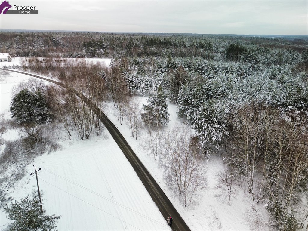 Działka budowlana na sprzedaż Boreczek  4 400m2 Foto 3