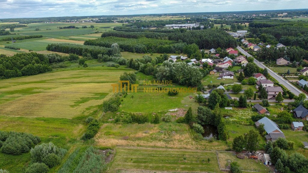 Działka inwestycyjna na sprzedaż Pigany  2 600m2 Foto 8