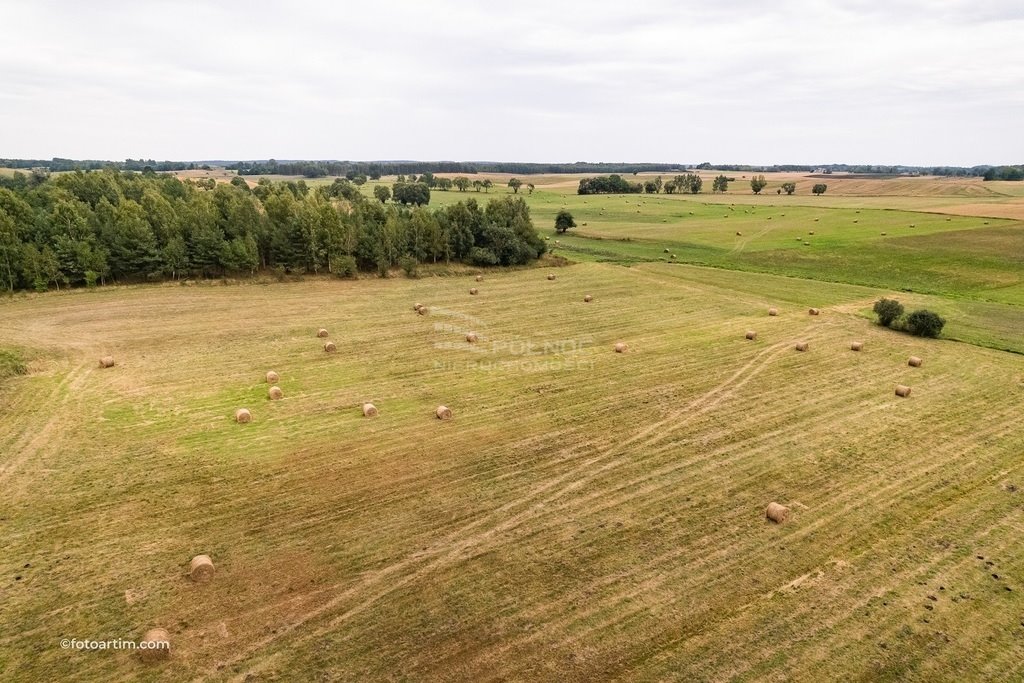 Działka rolna na sprzedaż Dybowo  43 751m2 Foto 11