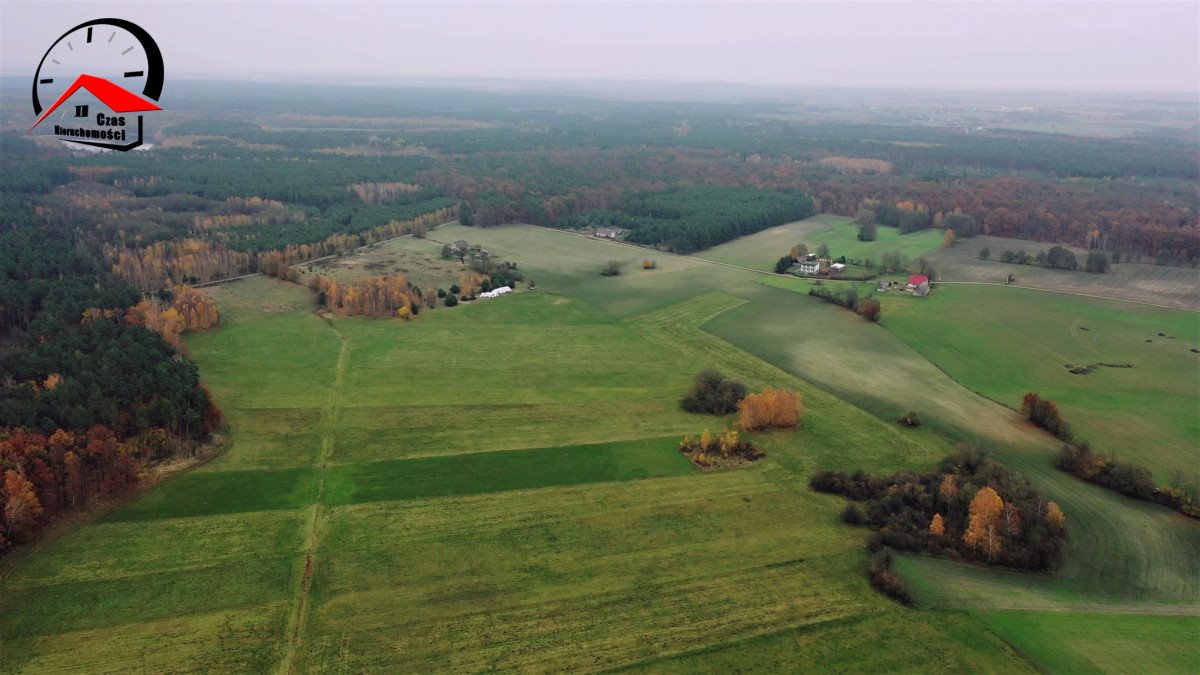 Działka gospodarstwo rolne na sprzedaż Gołąbki  138 960m2 Foto 4