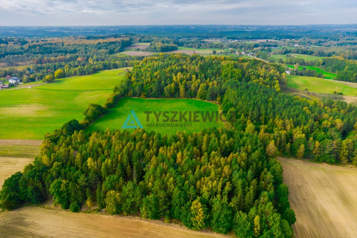 Działka rolna na sprzedaż Gołubie  102 067m2 Foto 6