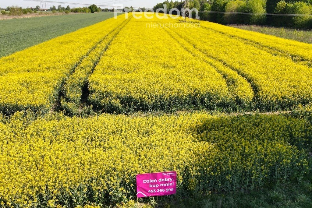 Działka inna na sprzedaż Stary Sławacinek  26 875m2 Foto 3