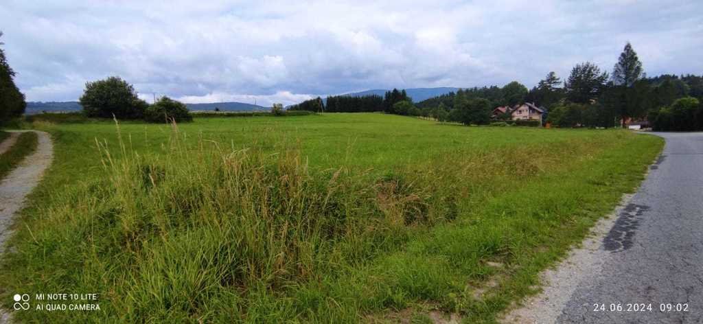 Działka budowlana na sprzedaż Długopole Górne  3 300m2 Foto 8